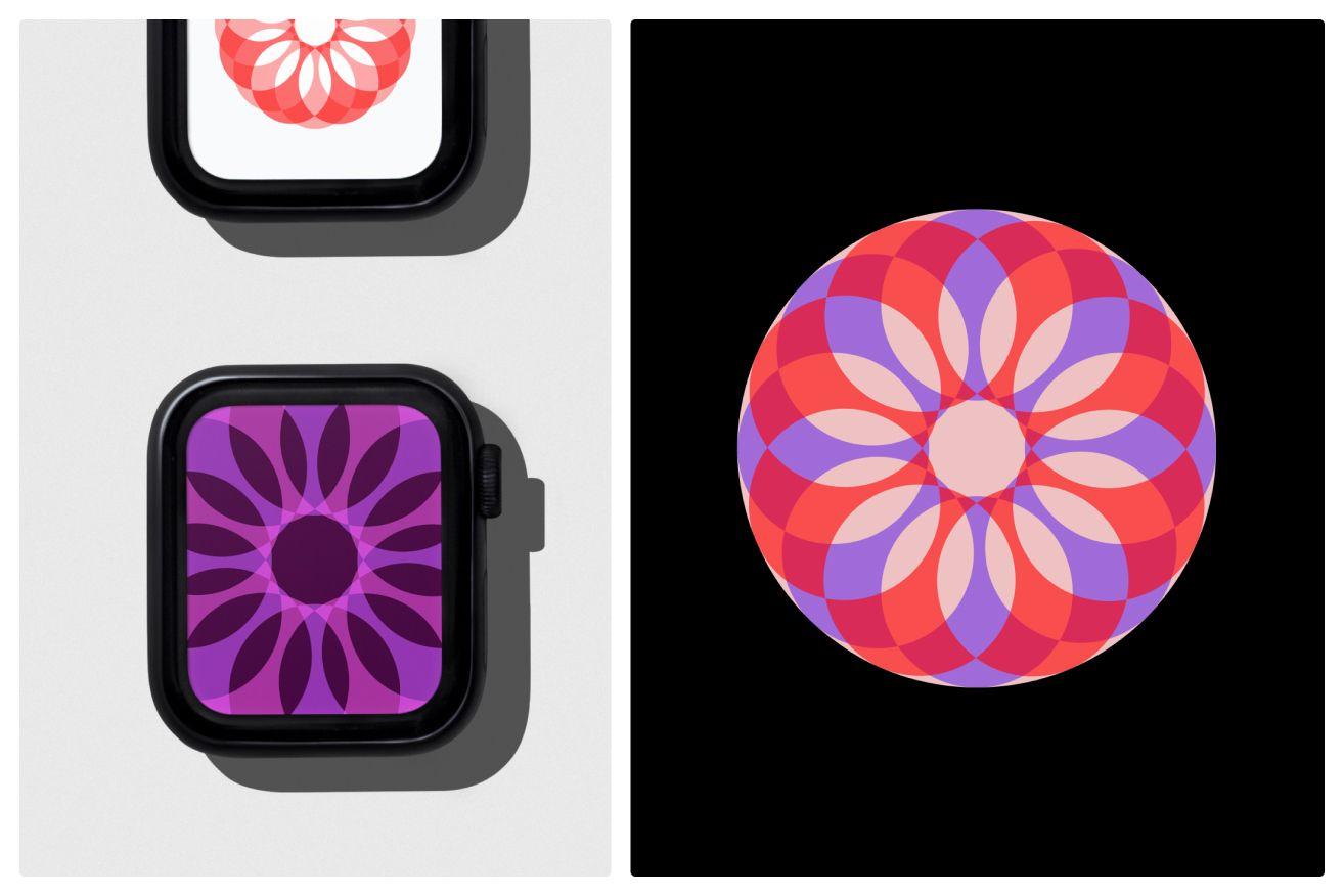 [Click here to download 🔥](https://fluffys.io/product/floral-geometric-shape-variations-4-vector-designs)